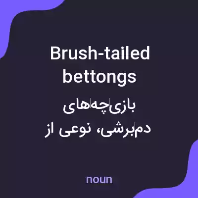 معنی brush-tailed bettongs به فارسی