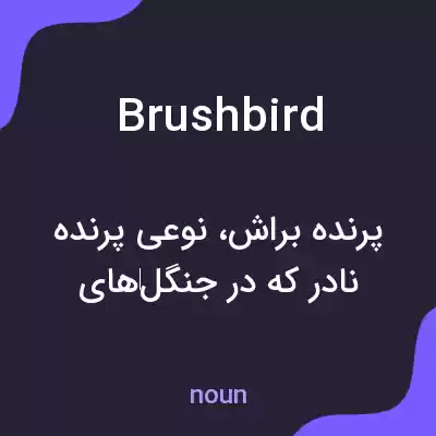 معنی brushbird به فارسی معنی brushbird به فارسی