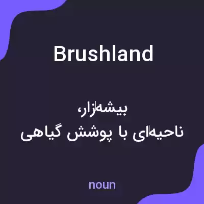 معنی brushland به فارسی معنی brushland به فارسی