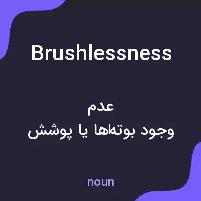معنی brushlessness به فارسی معنی brushlessness به فارسی