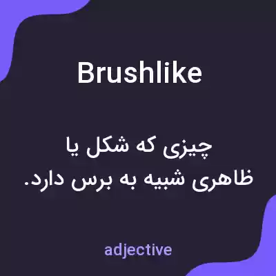 معنی brushlike به فارسی معنی brushlike به فارسی