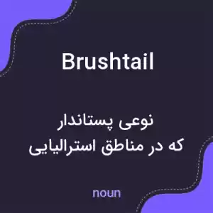معنی brushtail به فارسی معنی brushtail به فارسی