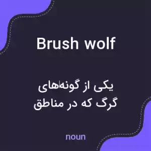 معنی brush wolf به فارسی معنی brush wolf به فارسی