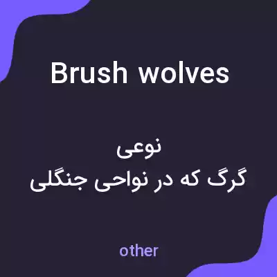 معنی brush wolves به فارسی معنی brush wolves به فارسی