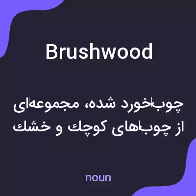 معنی brushwood به فارسی معنی brushwood به فارسی