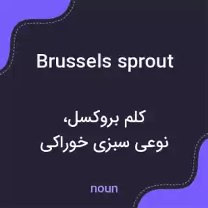 معنی brussels sprout به فارسی معنی brussels sprout به فارسی