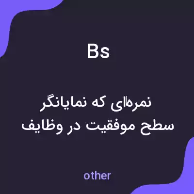 معنی bs به فارسی معنی bs به فارسی