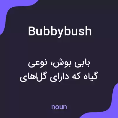 معنی bubbybush به فارسی معنی bubbybush به فارسی