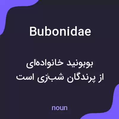 معنی bubonidae به فارسی معنی bubonidae به فارسی
