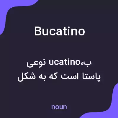 معنی bucatino به فارسی