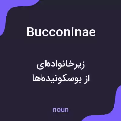 معنی bucconinae به فارسی معنی bucconinae به فارسی