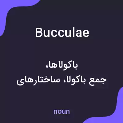 معنی bucculae به فارسی معنی bucculae به فارسی