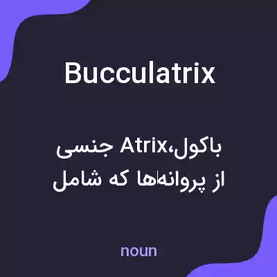 معنی bucculatrix به فارسی معنی bucculatrix به فارسی