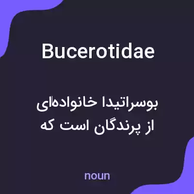 معنی bucerotidae به فارسی