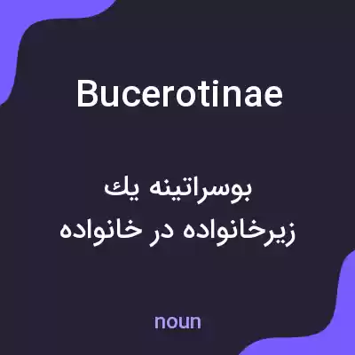 معنی bucerotinae به فارسی معنی bucerotinae به فارسی