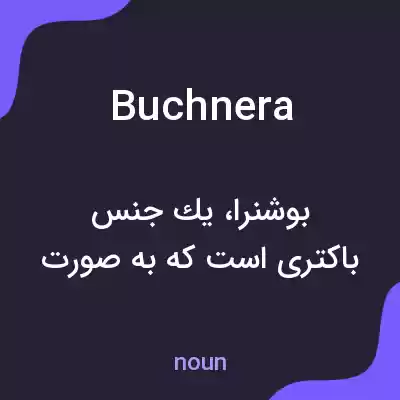 معنی buchnera به فارسی معنی buchnera به فارسی