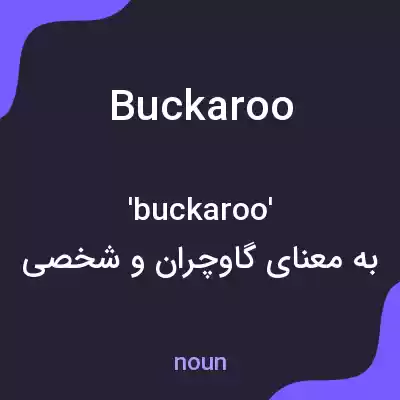 معنی buckaroo به فارسی معنی buckaroo به فارسی