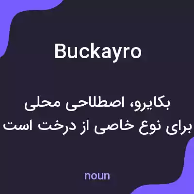 معنی buckayro به فارسی