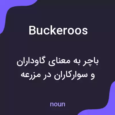 معنی buckeroos به فارسی معنی buckeroos به فارسی