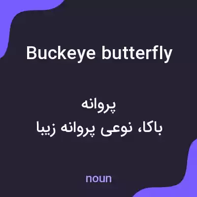 معنی buckeye butterfly به فارسی معنی buckeye butterfly به فارسی