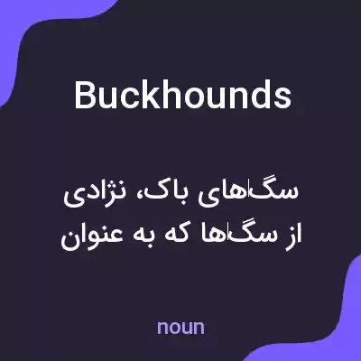 معنی buckhounds به فارسی