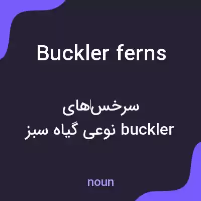 معنی buckler ferns به فارسی معنی buckler ferns به فارسی