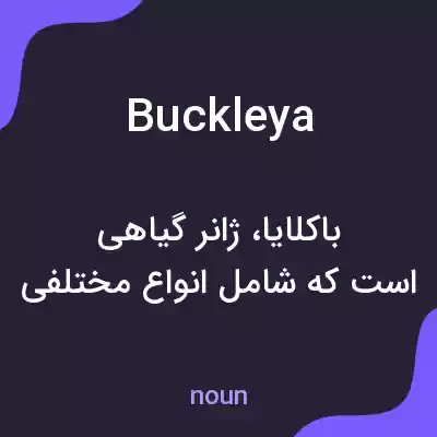 معنی buckleya به فارسی معنی buckleya به فارسی