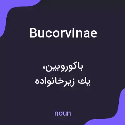معنی bucorvinae به فارسی معنی bucorvinae به فارسی