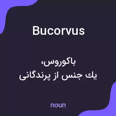 معنی bucorvus به فارسی معنی bucorvus به فارسی