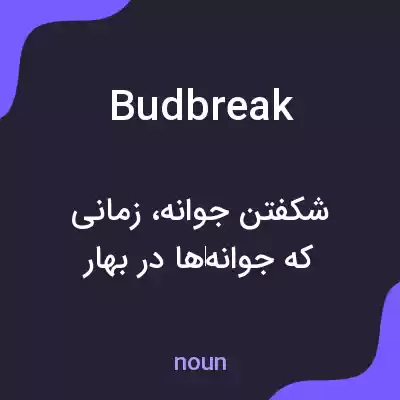 معنی budbreak به فارسی معنی budbreak به فارسی