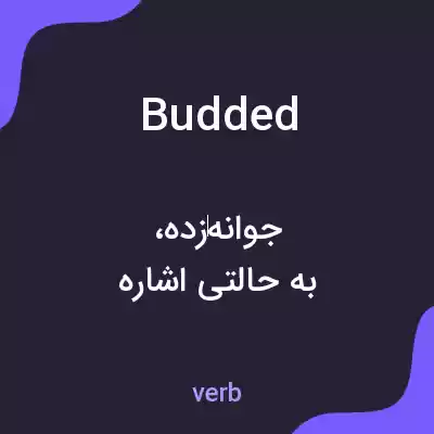 معنی budded به فارسی معنی budded به فارسی