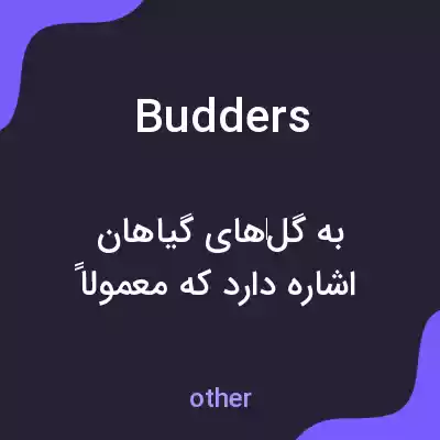 معنی budders به فارسی معنی budders به فارسی