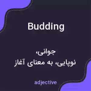 معنی budding به فارسی معنی budding به فارسی