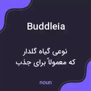 معنی buddleia به فارسی معنی buddleia به فارسی
