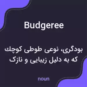 معنی budgeree به فارسی معنی budgeree به فارسی