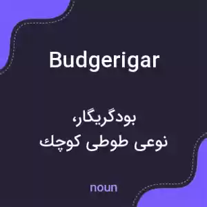 معنی budgerigar به فارسی معنی budgerigar به فارسی