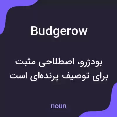 معنی budgerow به فارسی معنی budgerow به فارسی