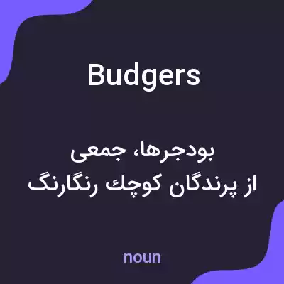 معنی budgers به فارسی معنی budgers به فارسی