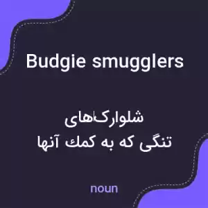 معنی budgie smugglers به فارسی معنی budgie smugglers به فارسی