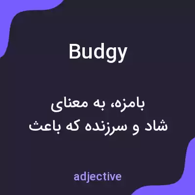 معنی budgy به فارسی معنی budgy به فارسی