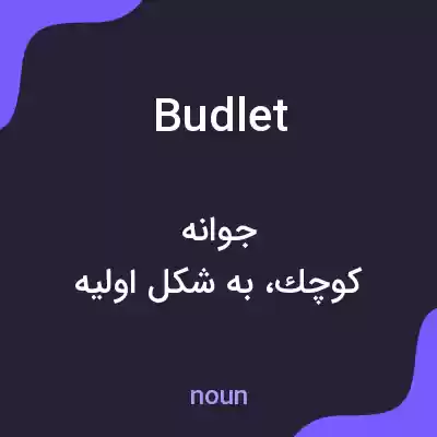 معنی budlet به فارسی معنی budlet به فارسی