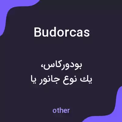 معنی budorcas به فارسی معنی budorcas به فارسی