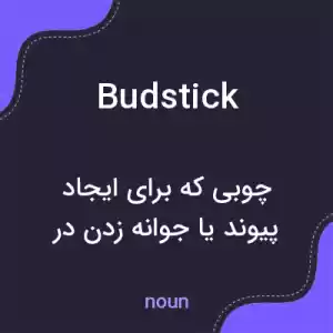 معنی budstick به فارسی معنی budstick به فارسی