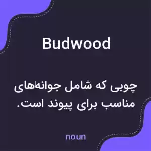 معنی budwood به فارسی معنی budwood به فارسی