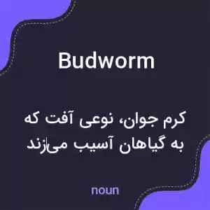 معنی budworm به فارسی