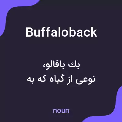 معنی buffaloback به فارسی معنی buffaloback به فارسی