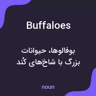 معنی buffaloes به فارسی معنی buffaloes به فارسی