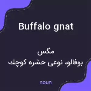 معنی buffalo gnat به فارسی