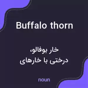 معنی buffalo thorn به فارسی معنی buffalo thorn به فارسی