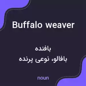 معنی buffalo weaver به فارسی معنی buffalo weaver به فارسی